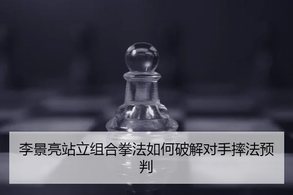 李景亮站立组合拳法如何破解对手摔法预判